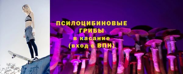 ECSTASY Алексин