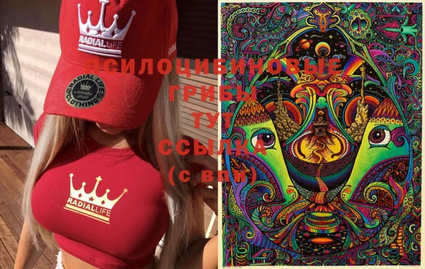 стаф Новодвинск